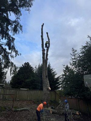 Finishing touches on removal