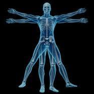 Wesling Chiropractic Center