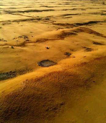 DHI Roofing Contractor