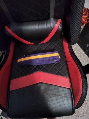 My purple decided and Leadership belt.