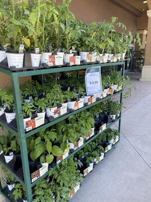 Outdoor Supply Hardware