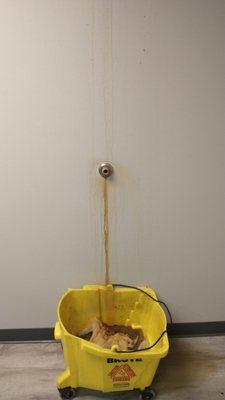 It smells worse than it looks, believe me.