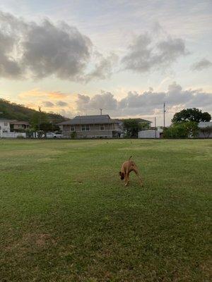 Aina Koa Neighborhood Park