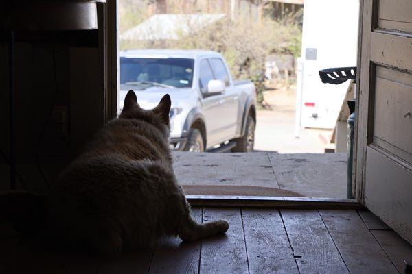 Looking out from the general store