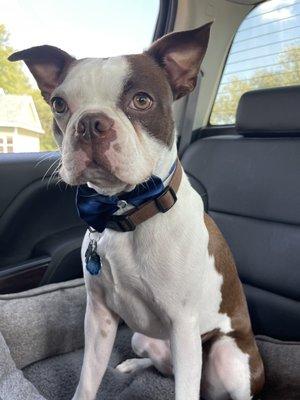 North Country Groom Shop