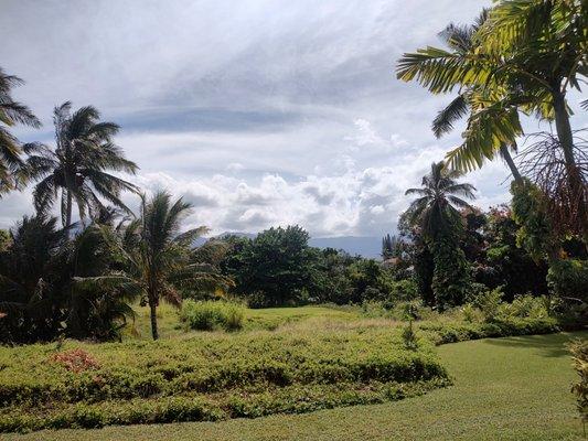 Kauai Kahuna Vacation Rentals