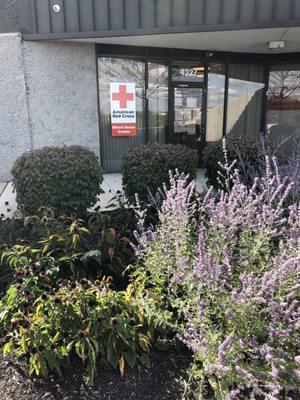 American Red Cross Blood Service