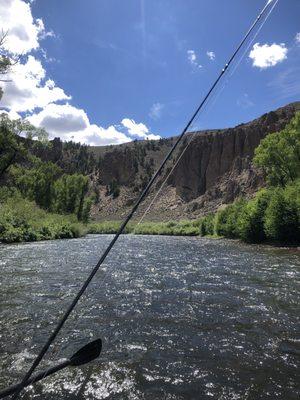 Gunnison River Fly Shop