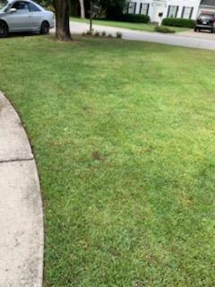 JDS Landscaping Plus