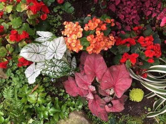 Enlightened Acupuncture