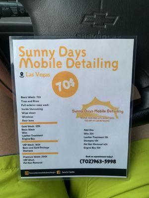 Sunny Days Mobile Detailing