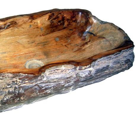 Hand made petrified wood sinks and tile