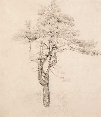 Conley Harrison & McClellan Inc.