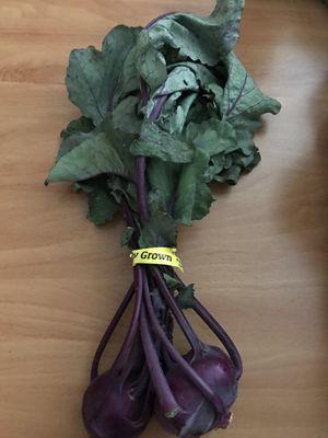 Purple Kohlrabi