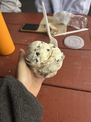 Small Chocoate Chip Ice Cream