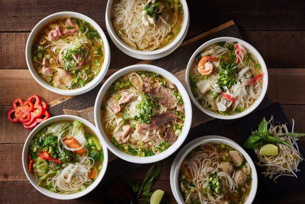 Variety of Pho options - chicken, beef, vegetarian, vegan and seafood