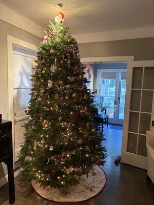 Each year we think our new Shawn's tree sets the record for prettiest ever!
