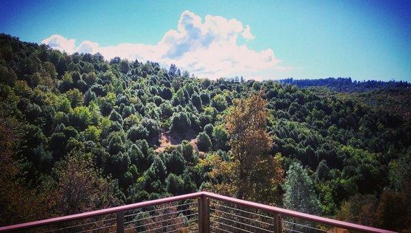 Eric Alan Berg & Associates