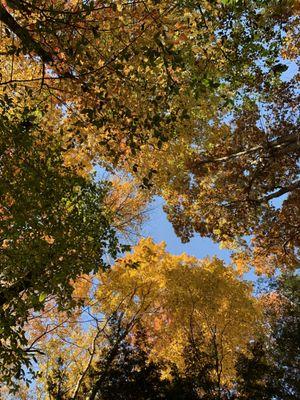 The Ledges Shelter House & Trail