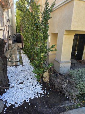 Green Gainz Greenscapes