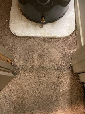 Carpet