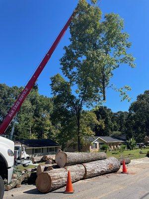 R & R Tree Service