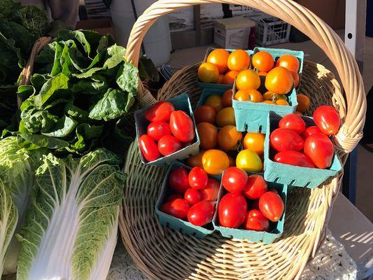 Village Center Farmers Market