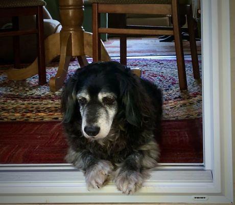 Renton West Veterinary Hospital