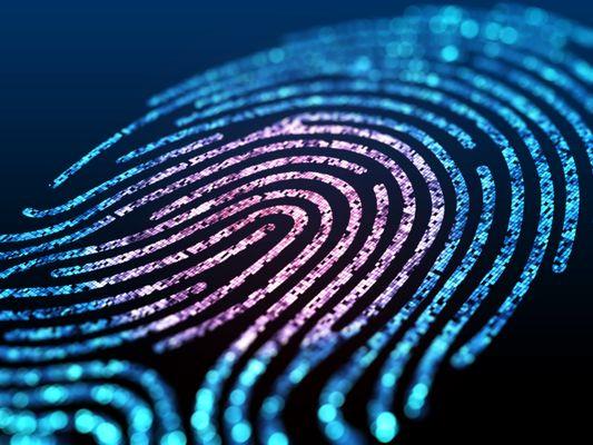 Four Points Fingerprinting