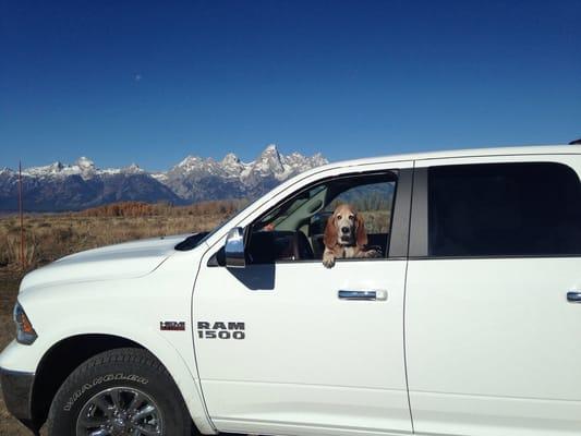 Wolf's Jackson Dodge Chrysler