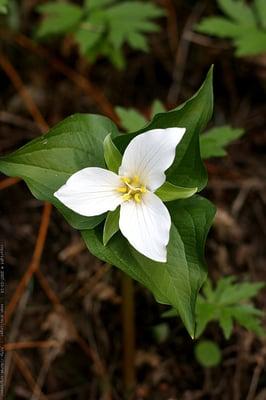 Skin Care, Make-up & More
Great Prices on quality products to help you look and feel younger