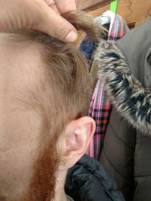 Great Clips