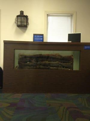 Preserved civil war rifle in water