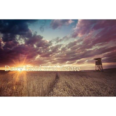 Dairy Land Real Estate