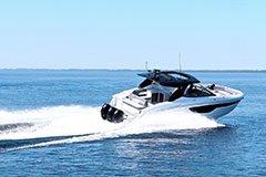 Big Apple Charters