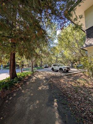 Parking in the back/side of the building!