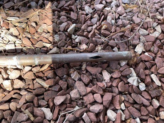 Mountain Dew Irrigation