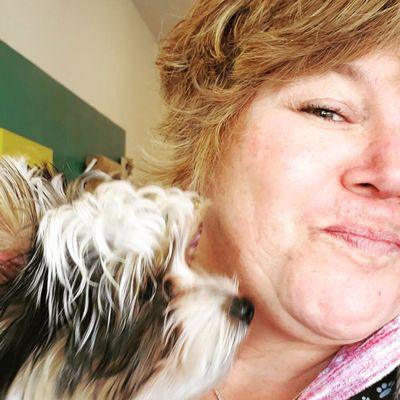 Cameos Pet Salon and Doggie Day Care