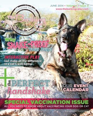 The Barking Cat, LLC