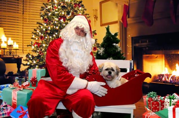 One of the events we held in 2013, was pet photos with Santa, thank you to our local photography studio HOTSHOTS PHOTOGRAPHY