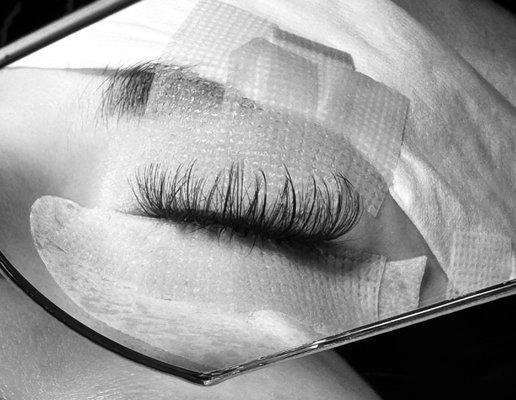 Tara’s Couture Lashes