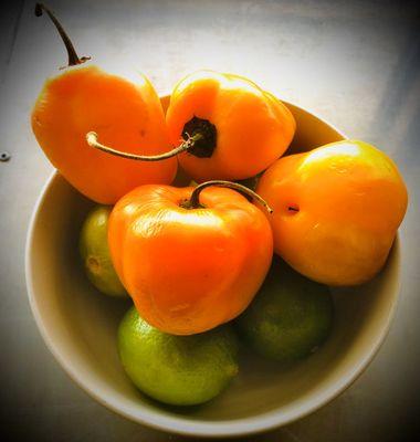 Fresh Rocoto! Fresh Sauce! #Mantaperuviancuisine