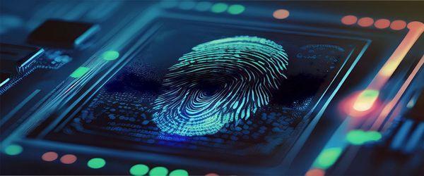 Need Fingerprints FAST? We've Got You Covered!
Say goodbye to messy ink and hello to quick, digital live scan fingerprinting.
