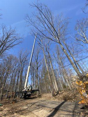 Executive Cleanse Maintenance Services