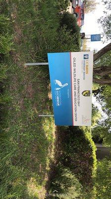 International Bird Rescue