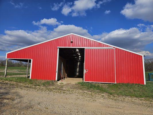 One Shot Performance Horses