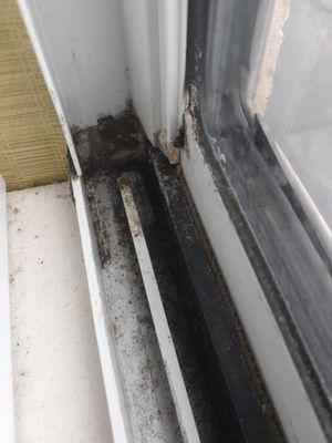 Holiday Inn Express Wixom