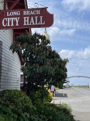 Longest beach in the WORLD?!? That's a Loooong Beach!