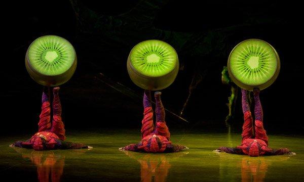 OVO from Cirque du Soleil