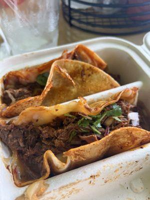 Birria tacos